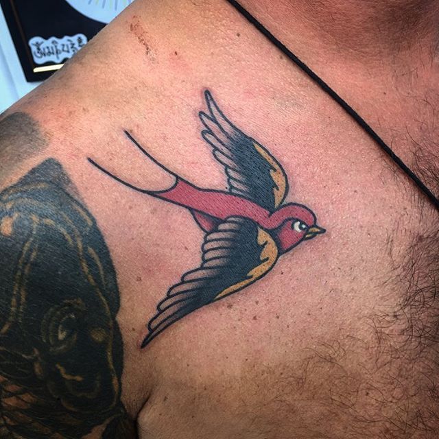 The History and Meaning Behind Swallow Tattoos  Fair Robin Revival