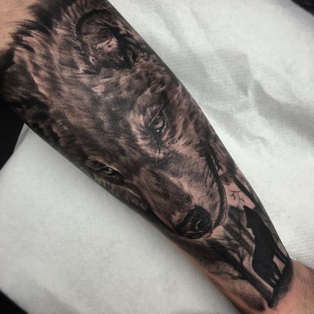 Wolf portrait on the inner forearm. Thanks Ritchie! ⋆ Studio XIII Gallery