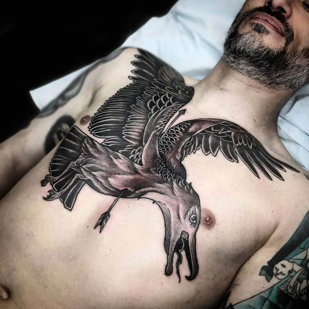 albatross in Bold lettering Tattoos  Search in 13M Tattoos Now   Tattoodo