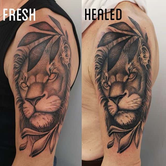 No filter no tricks, pic taken under the same light conditions in the same corner:) the healed picture is of a very freshly healed tattoo so i will tone down a touch and i added a little bit of detail to the mane and the eyes. Super happy with the result! Understanding the limitations of skin let&039;s you make it work in your favour. And of course good damn ink helps a damn lot @allegoryink i&039;m not sponsored by them but it is good product as you can see for yourself so I can happily recommend it! 
Catch me @brightontattoocon
This weekend! Exited to work among all the incredible talent that is going to be there!

studioxiii bestattoos blackworknow blackworksubmission inkedmen uktattoo uktta tattoolifestyle tttism supportgoodtattooing newtattoo healedtattoos healedtattoo allegoryink liontattoo lion nofiltersneeded realtattoos uktattooartist igersedinburgh scotlandtattoo edinburghtattoo realismtattoo contemporarytattooing portraittattoo