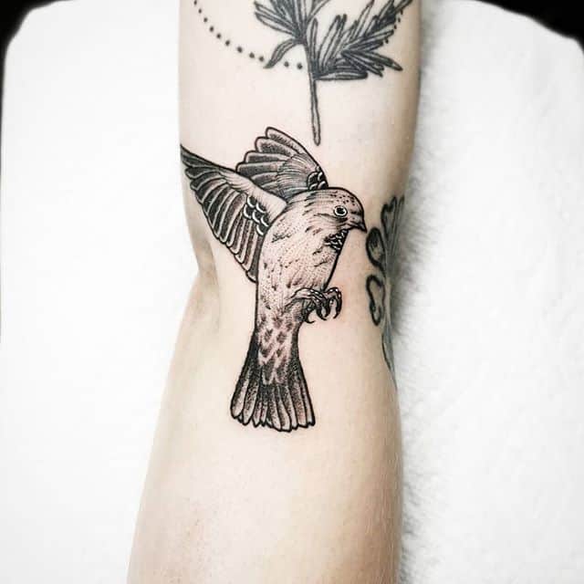 Little birdy I got to do in This past weekend . .. . . . ⋆ Studio XIII ...