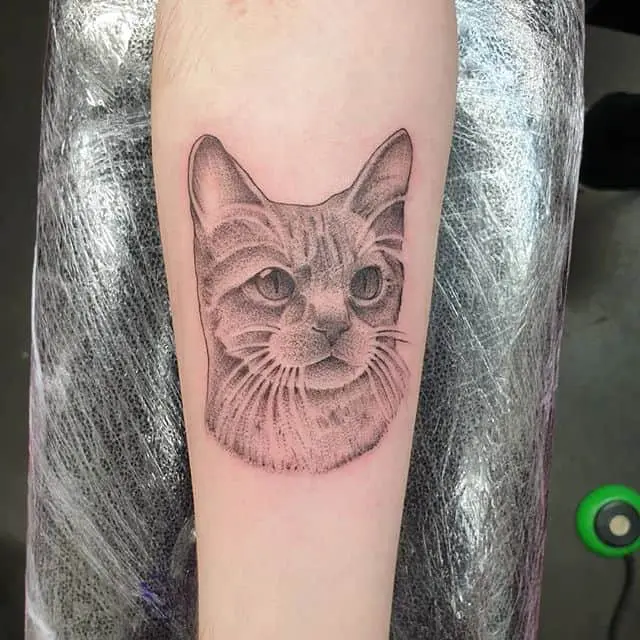 Fitz Presley immortalised for Roman&039;s first tattoo from the other day- thank you mate Would LOVE to do more like this please! Made @studioxiiigallery cattattoo catportraits dotworktattoo stippletattoo portraittattoo animaltattoos firsttattoo edinburghtattooer edinburgh scottishtatttooer scotland studioxiii tattoosbyalanross alrosstattoo