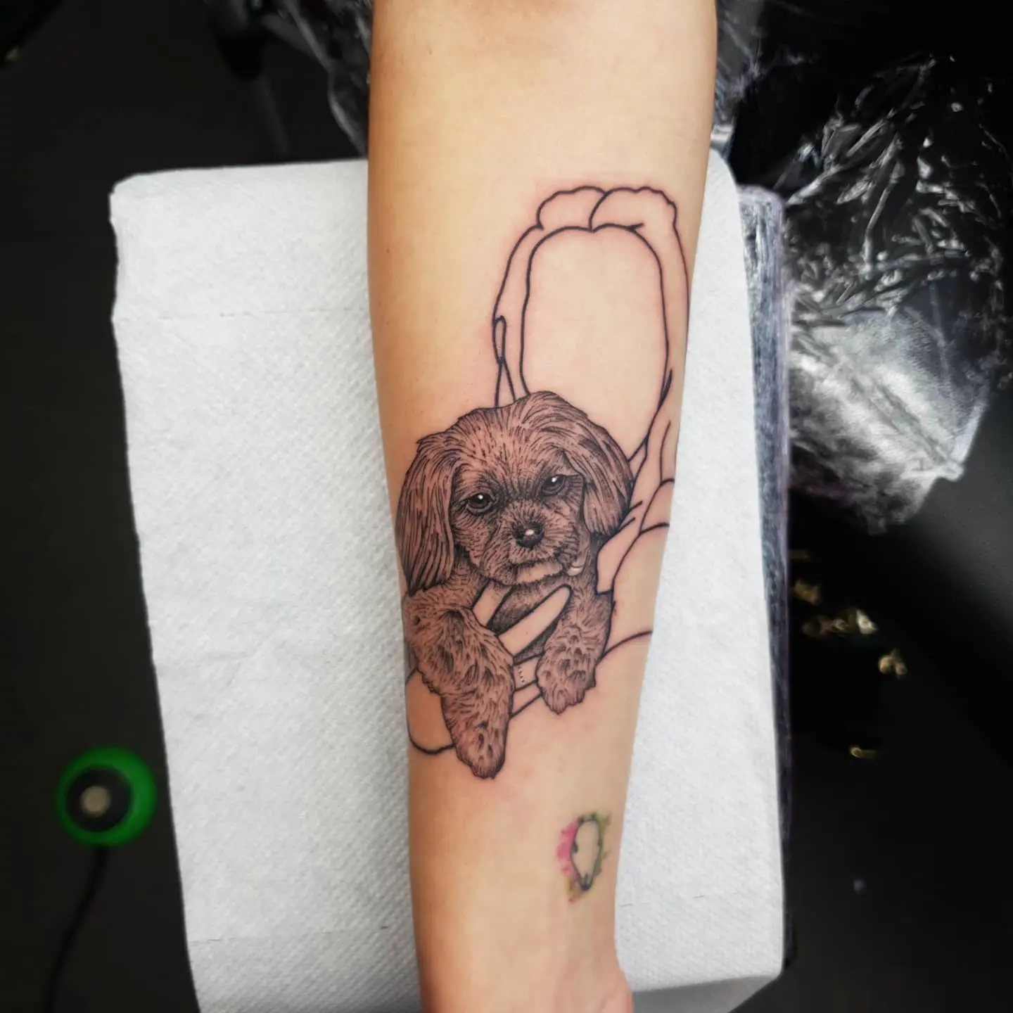 Cool client idea- had a blast today with this tattoo of "Lexi" and her owner - thank you Johanna! Interesting working with different contrast and styles! Done @studioxiiigallery portraittattoo dogportrait dogtattoo linearportrait lineartattoo blackandgreytattoo realismtattoo tattoos edinburghtattooer edinburgh scottishtattooer scotland tattoosbyalanross alrosstattoo studioxiiigallery studioxiii
