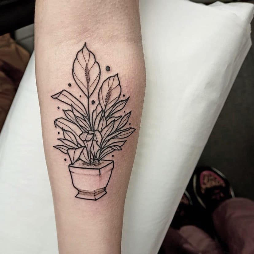 Cute little plant friend by kalipsotattoo 

We’re still taking enquiries for when we re-open so if you want to get tattooed by Kali then get in touch via the enquiry form on our website! 💌
____________________________________

                           totaltattoo barber_dts easytattoo_uk eternalink dynamiccolor lockdownneedle stencilstuff
