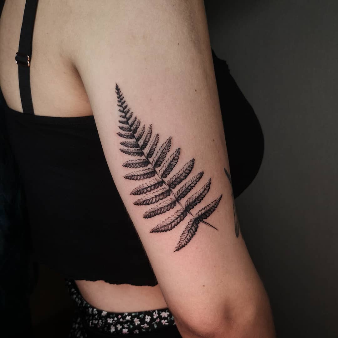 A wee fern for Maxine. 

                      