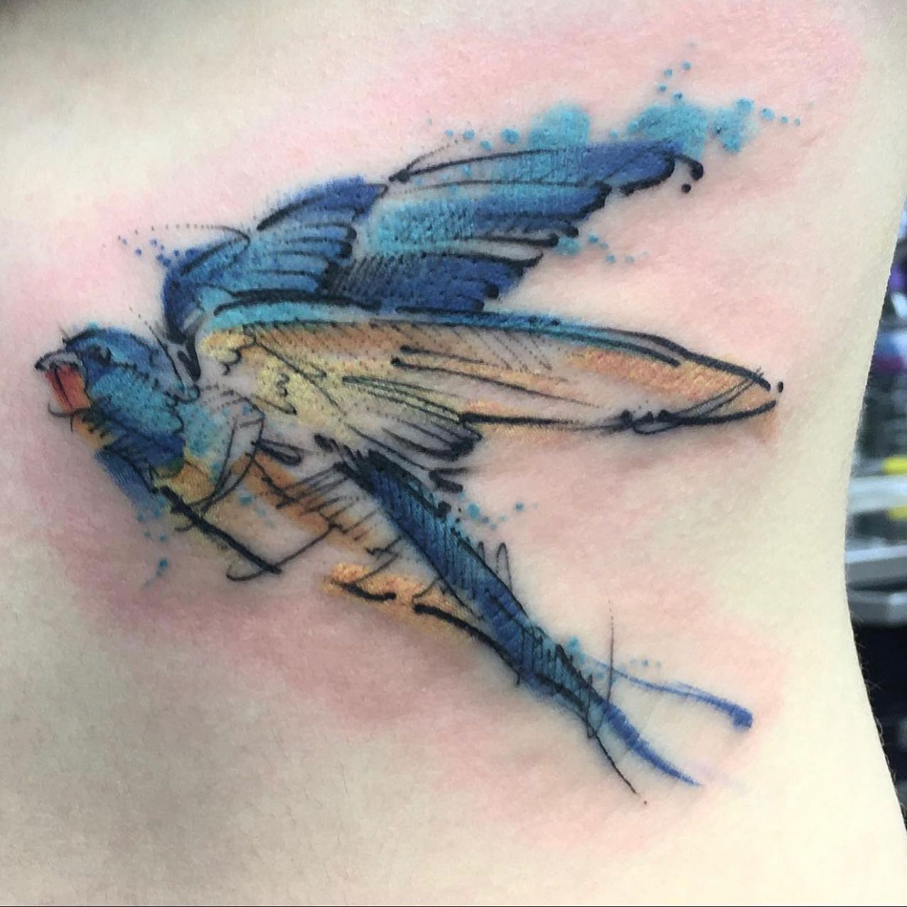 Blue birdie from Manny 🥰
•
        