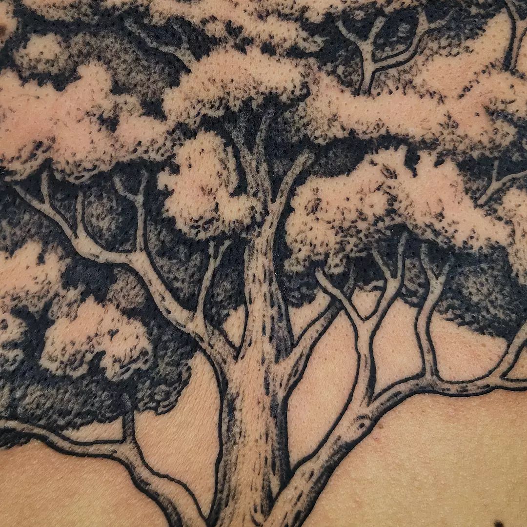 Closeup of a freehand tree on back. Love trees? Come get one drawn on and tattooed! 😁💚

                         