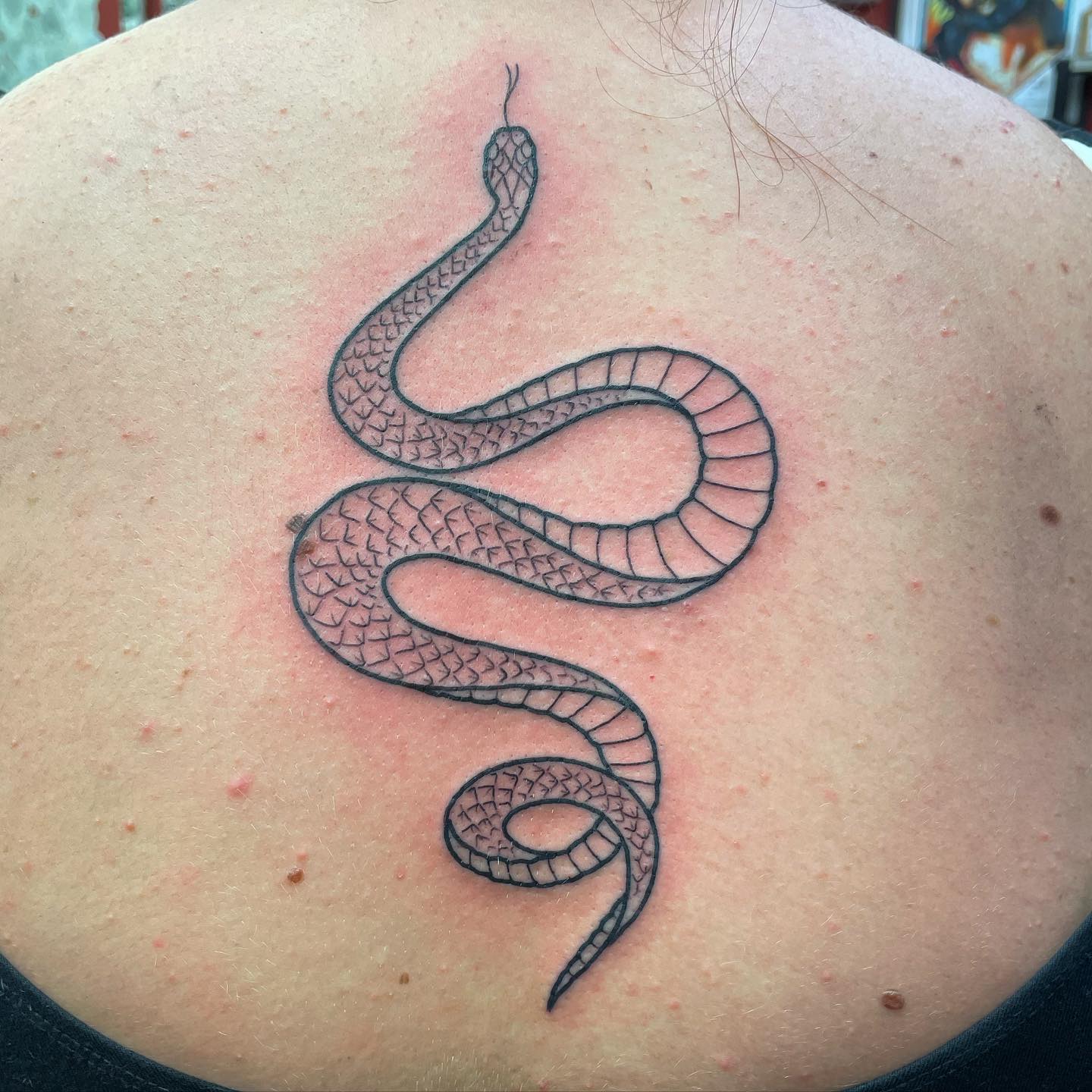 Simple line work snake for Abby from a while ago- thank you! Done studioxiiigallery 🙌
.
.
.
                 