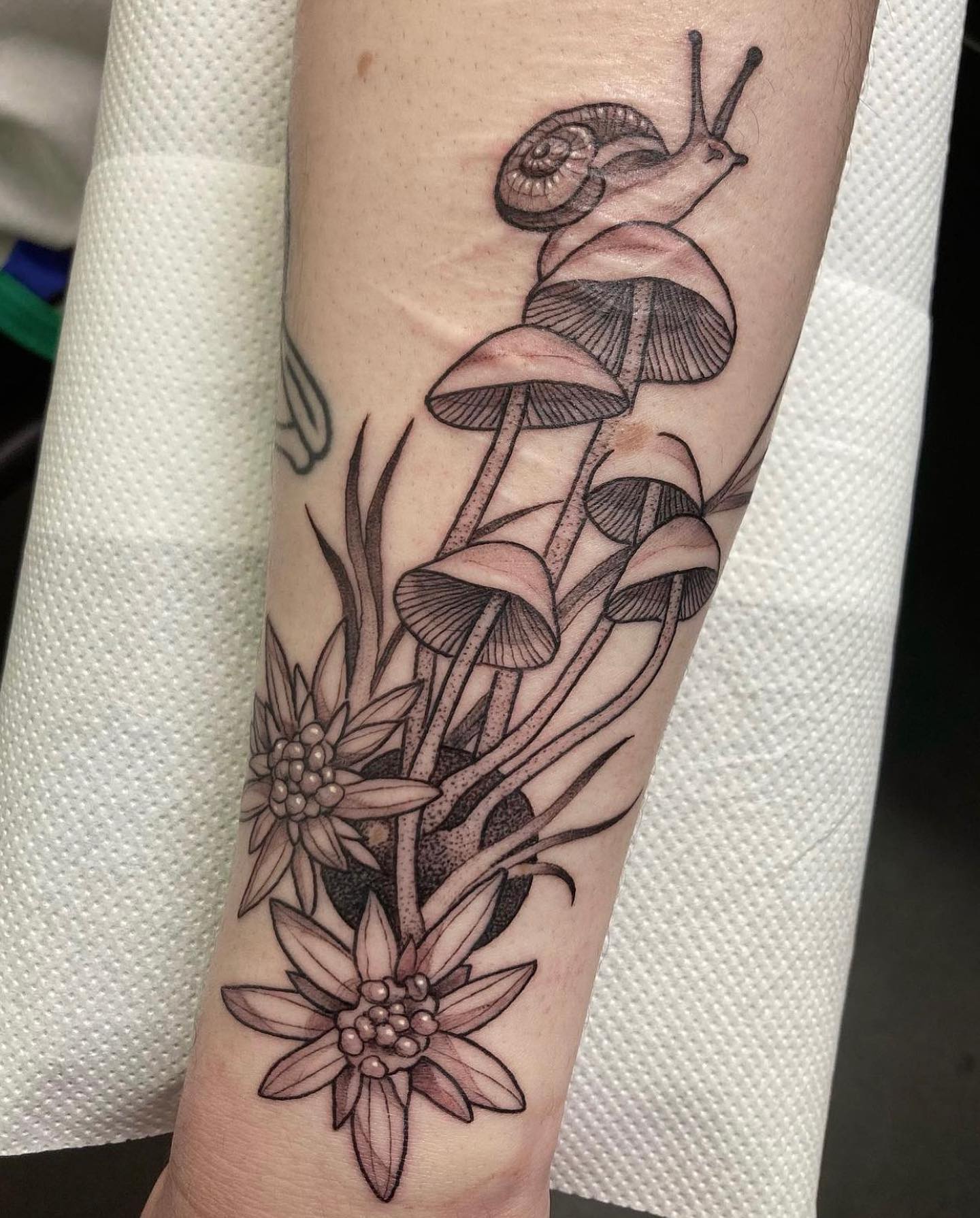 Cool nature themed piece by our resident Karolis ✨

📲 sungazerink 

If you would like to get tattooed by Karolis, then please message him directly for a quote or fill out the tattoo enquiry form on our website 💫

                         totaltattoo barber_dts easytattoo_uk eternalink dynamiccolor lockdownneedle stencilstuff        