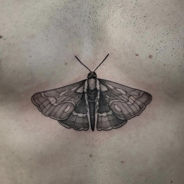 Moth sternum piece by sungazerink 🖤

              