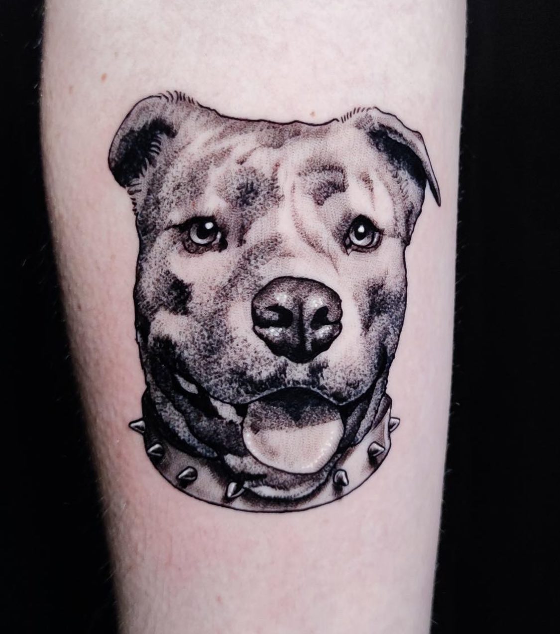 A very good boy by our resident artist emilianoemetattoo

If you’d like to book in with Eme get in contact with him directly or fill in an enquiry form on our website 🖤

       