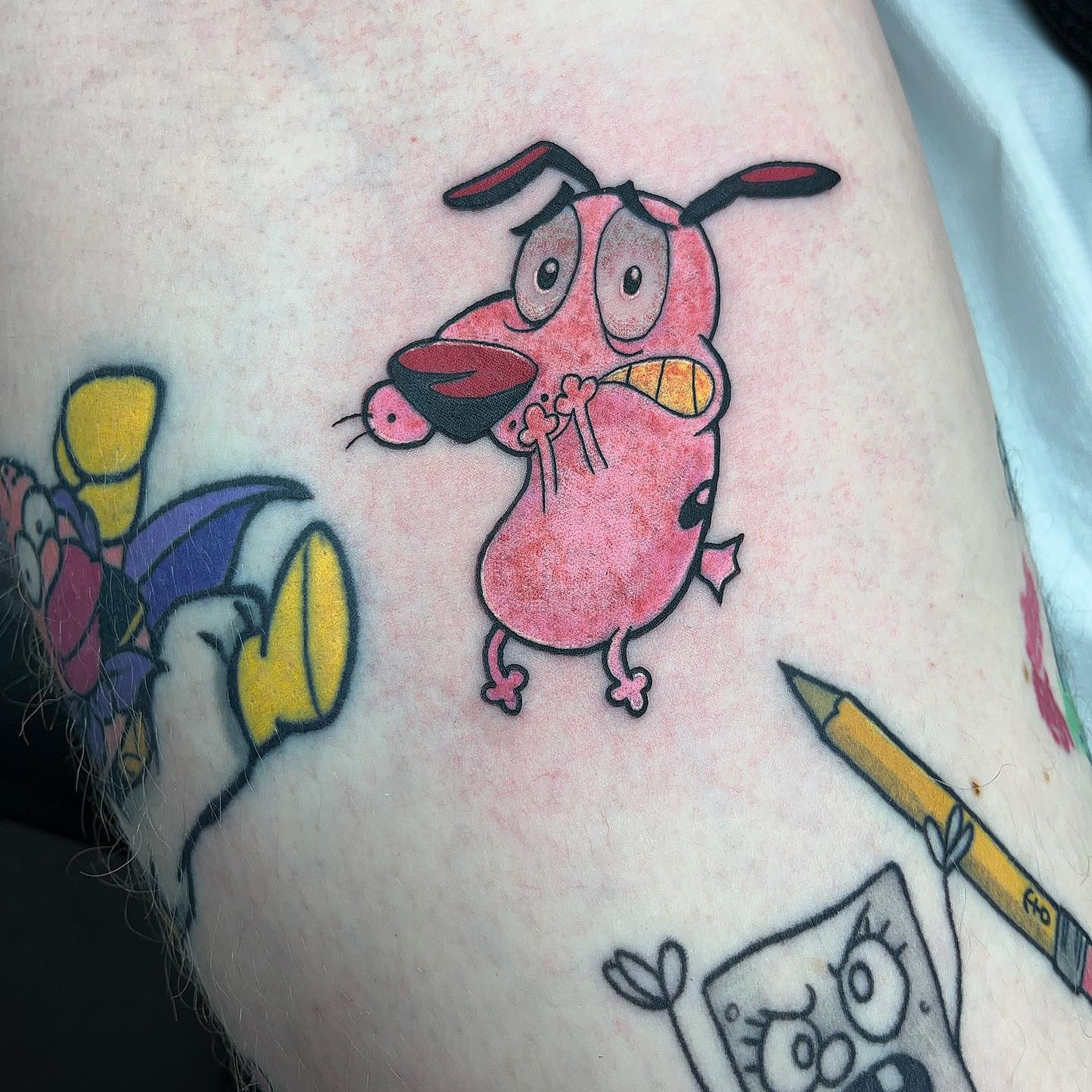 Courage for Scotty, thanks letting me add to your amazing collection and sitting so well for the spicy inner thigh!  Hanging out with my healed Doodlebob done a wee bit ago. 

                    