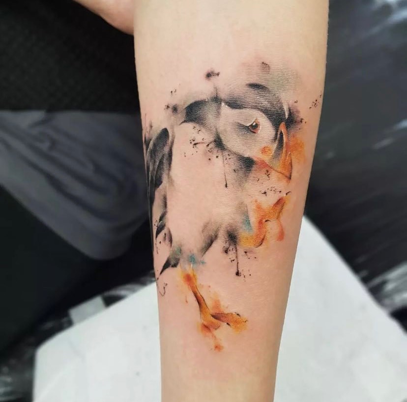 160 Puffin tattoo ideas | puffin, puffins bird, bird art