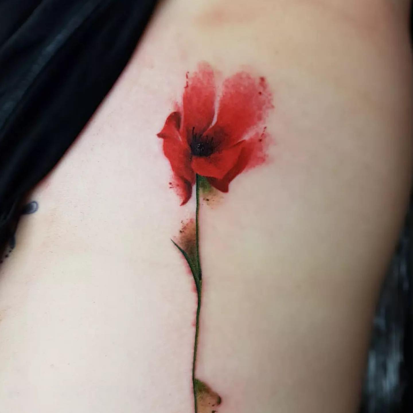 Stunning watercolour poppy by our resident Matias ✨

📲 mat.n.tatau 

If you would like to get tattooed by Matias, then please message him directly for a quote or fill out the tattoo enquiry form on our website 💫

                        barber_dts easytattoo_uk eternalink dynamiccolor stencilstuff        