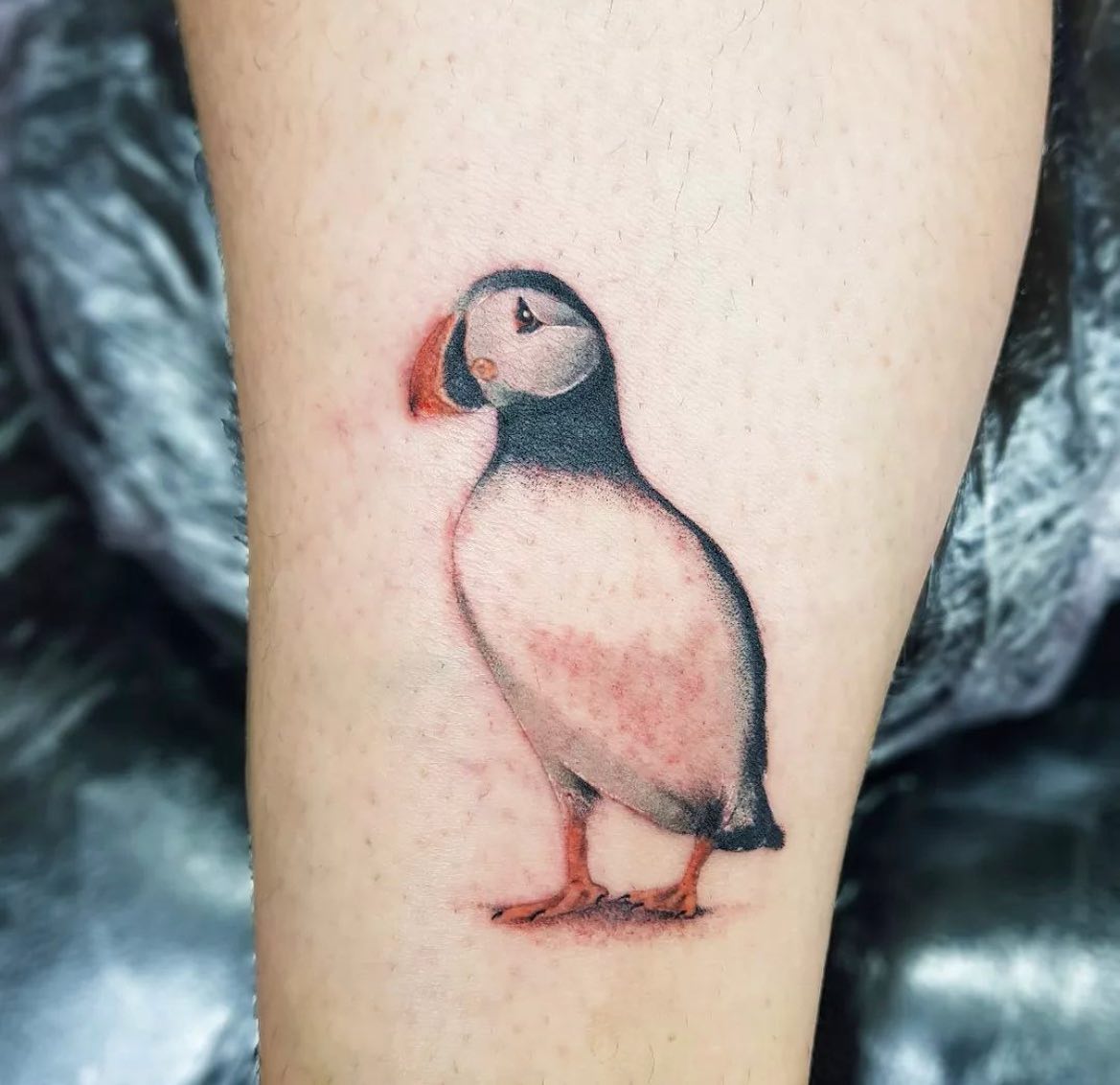 The cutest little puffin tattoo done by our amazing resident artist Matías🐧❣️

📲 - mat.n.tatau check out more of his style here! 

If you’d like to enquire about a tattoo done by Matías please fill out an enquiry form on our website or message him directly on his page ✨

                       