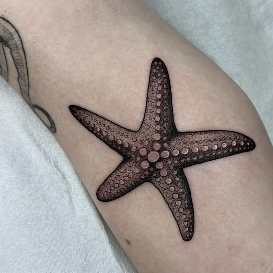 Cutest lil starfish from our resident sungazerink ⭐️🐠

Karolis returns from his holidays on the 10th of February and he's got space for you lovely lot to get tattooed! Please fill out the tattoo enquiry form, or contact Karolis directly!

                        barber_dts easytattoo_uk eternalink dynamiccolor lockdownneedle stencilstuff 
