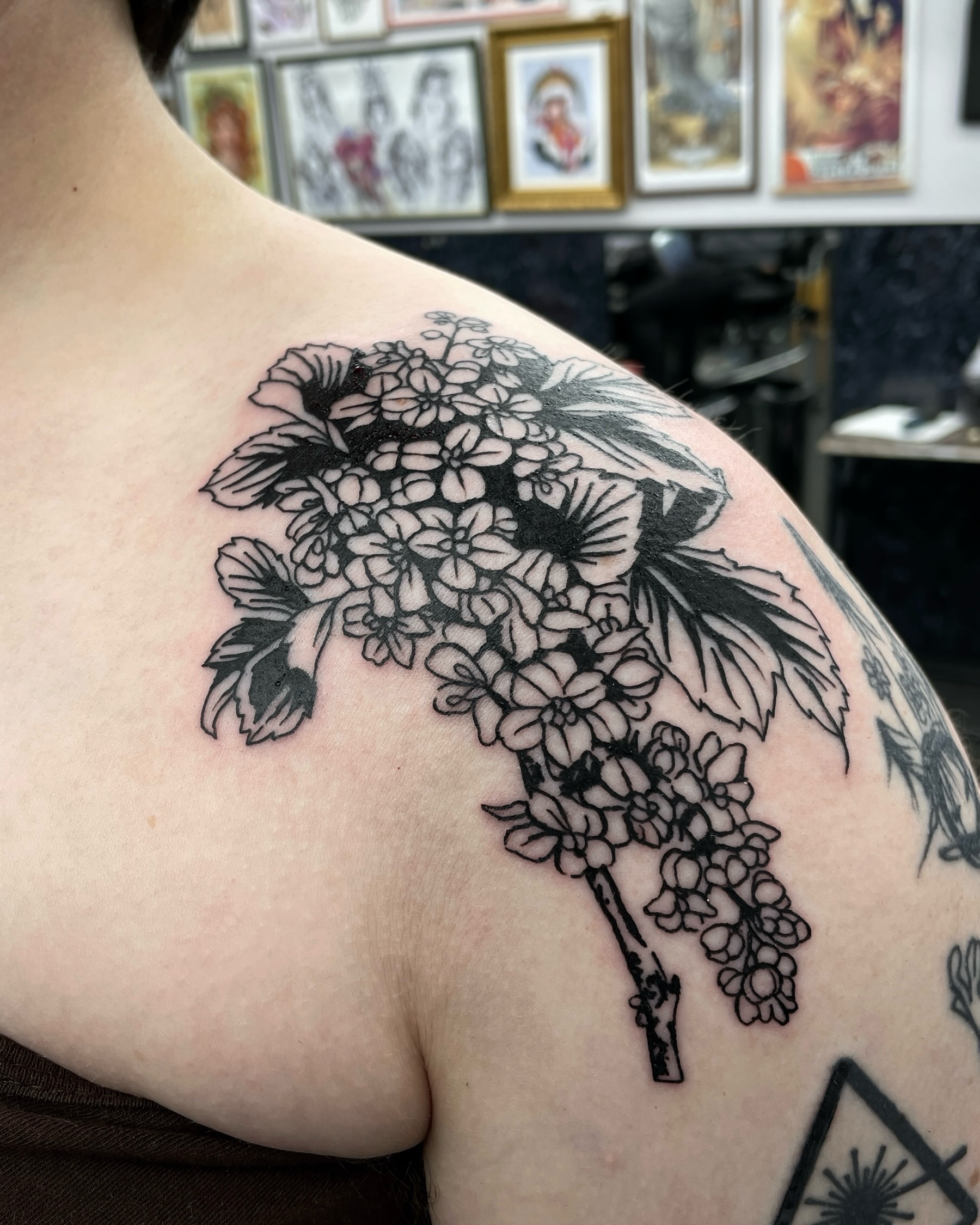 Oregon grape plant tattoo on front shoulder for lovely Rachel☺️Thanks a lot🌟
Taking bookings now,DM for tattoos
.
.
.
plant design botanical black linework lineart feminine female tattoo inspiration tattoo ideas scotland flash arm woodcut custom tattoo flower tattoo